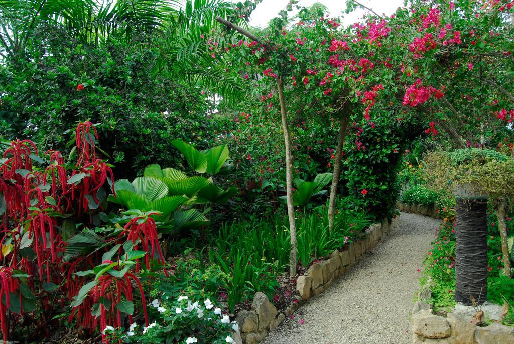 Hosteria Mandala Puerto López Eksteriør billede