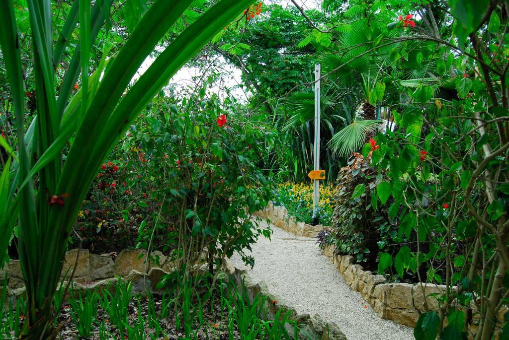 Hosteria Mandala Puerto López Eksteriør billede