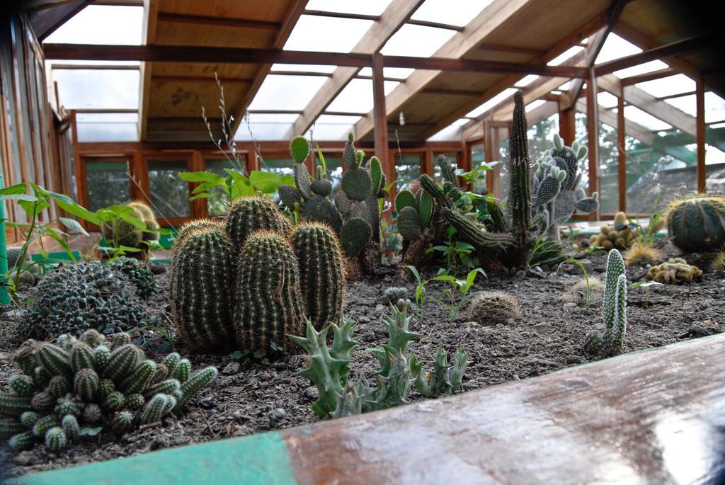 Hosteria Mandala Puerto López Eksteriør billede